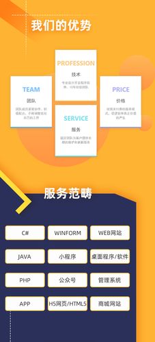 广州seo系统优化工具-软件开发